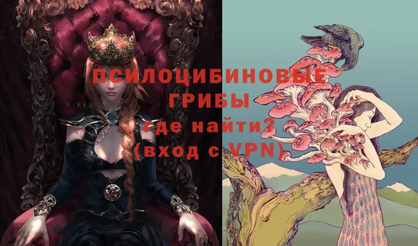 мдпв Костерёво