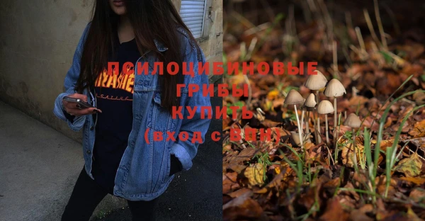 мдпв Костерёво